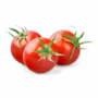 Tomate