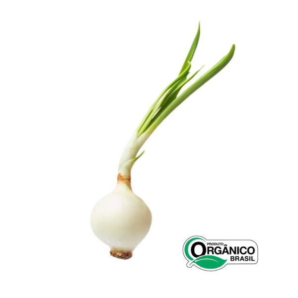 Cebola de Cabeça