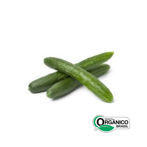 Pepino