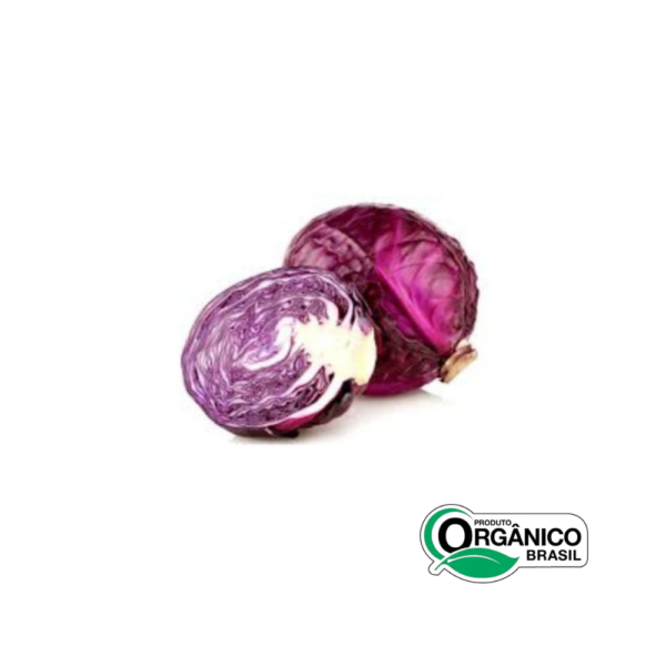 Repolho Roxo