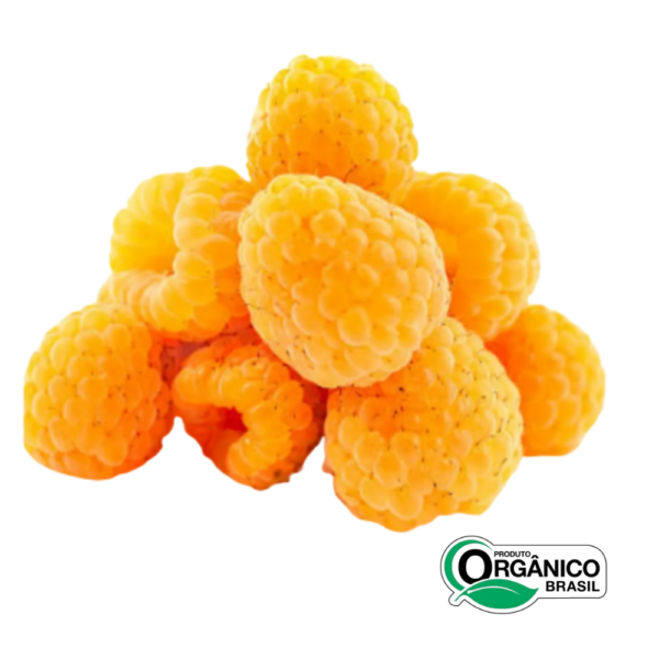 Fraboesa Amarela